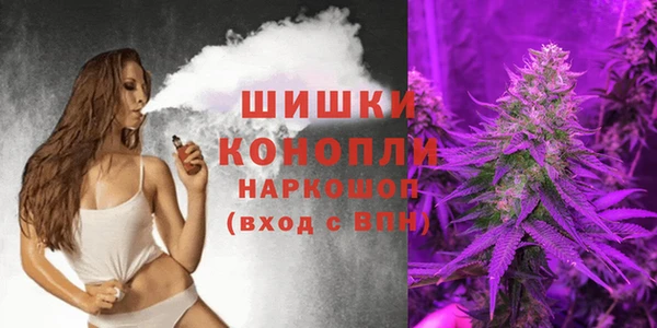 бошки Заводоуковск