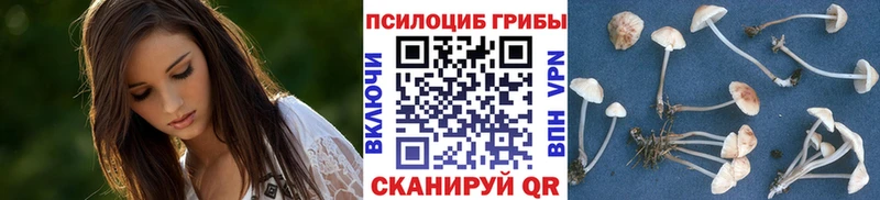 Псилоцибиновые грибы Psilocybine cubensis  маркетплейс как зайти  Истра 