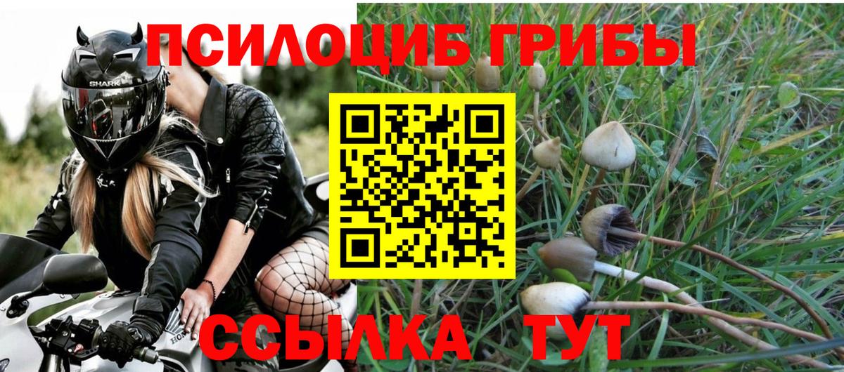 Истра  Псилоцибиновые грибы MAGIC MUSHROOMS  Вход с VPN 