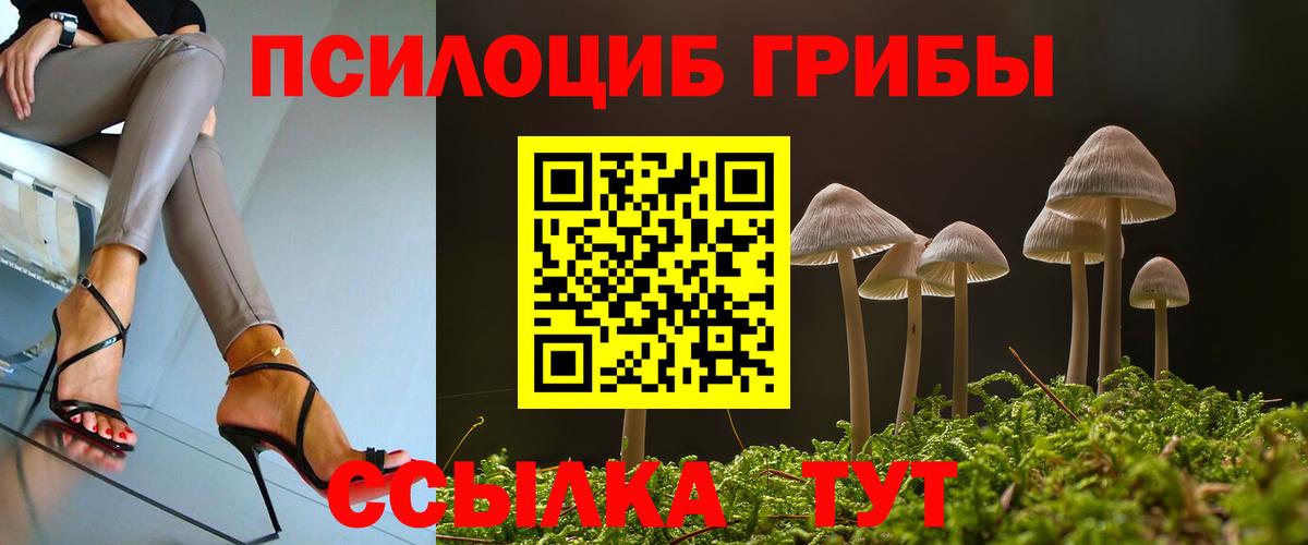 Псилоцибиновые грибы Psilocybine cubensis Истра